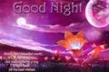 Good Night Beautiful World