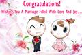 Congratulations on Wedding
