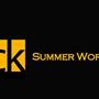 BLINCK Summer Workshops 2013