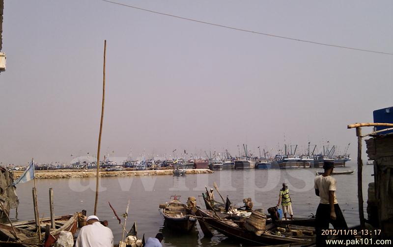 Trip To Ibrahim Hyderi Fish harbour Karachi, Behind PAF Korangi Creek