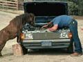 Horse-mechanick