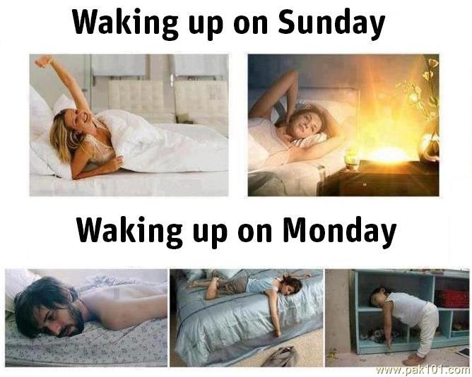 Get Cartoon Funny Wake Up Pictures Gif