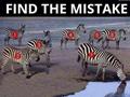 Find The Mistake