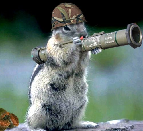 Funny Stickers Online on Animals With Guns Funny Nvzyq Png