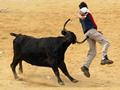 cow beating man on a dangerous 
