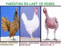 True Story Of PaKistan