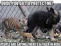 Protect Me Dog