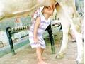 cow feeding child