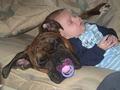 Funny Dog and Baby