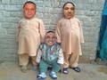 Nawaz Sharif, Shahbaz Sharif and Asif Zardari Funny Picture