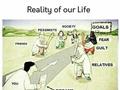 Reality Of Life