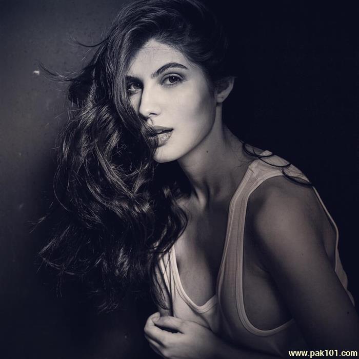 Image result for naaz norouzi