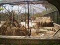 Marghazar Zoo, Islamabad