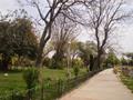 Japanese Park, Islamabad