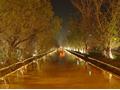 Lahore Canal