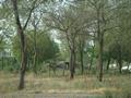 Safari Park Lahore