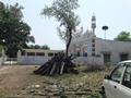 Chambra mosque