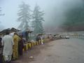 Corn Shops on Express Highway to Murree