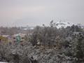 Snow Fall 2014 Quetta