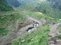 Neelum valley Azad Kashmir