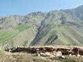 Lalu Sir, Naran Valley, Gilgit-Baltistan 