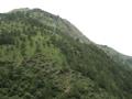 Lush Green mountains, Khyber Pakhtunkhwa