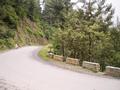 Rest Of Khyber Paktunkhwa,  Monkey Point, Abbottabad Gilliyat Road