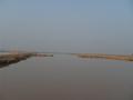 Fish Ponds Khanewal