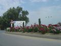 Flowers on GT Road, Gulberg Town Kamra Cantt.