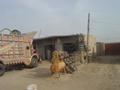 Tyer Shop, Rest of Punjab