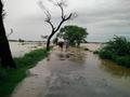 flood water comming to zafarwal