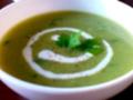 Creamy Garlic Spinach Soup