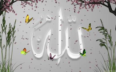 Beautiful Name Allah