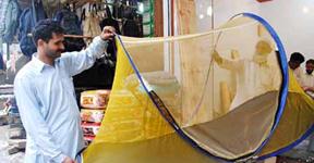 Tips: How to defend dengue