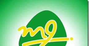 M9 – Zong M9 where you gone?