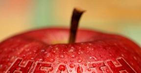 Healthy living: 5 health tips