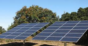 Punjab govt to distribute solar panels among Matric students
