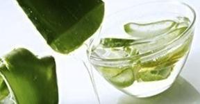 Aloe Vera For Stretch Marks