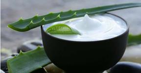 Amazing Benefits Of Aloe Vera