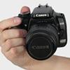 Canon 400 D (slightly used)