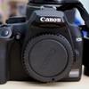 Canon 1000 D with 50mm 1.8 lens For Sale