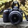 Nikon D3100 for sale