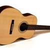 Acoustic Guitar