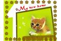 Happy new home