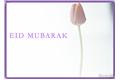 Eid mubarak