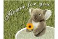 Flower for you