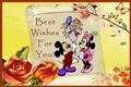 Best Wishes For You