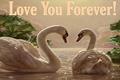 Love You Forever