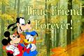 True Friend Forever