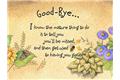 Good bye